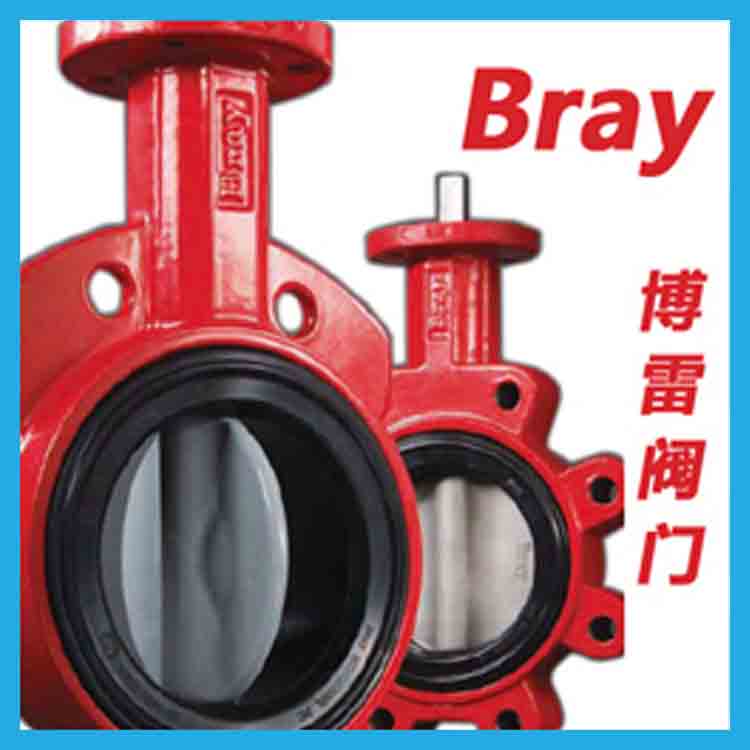 ���ף�Bray��S3