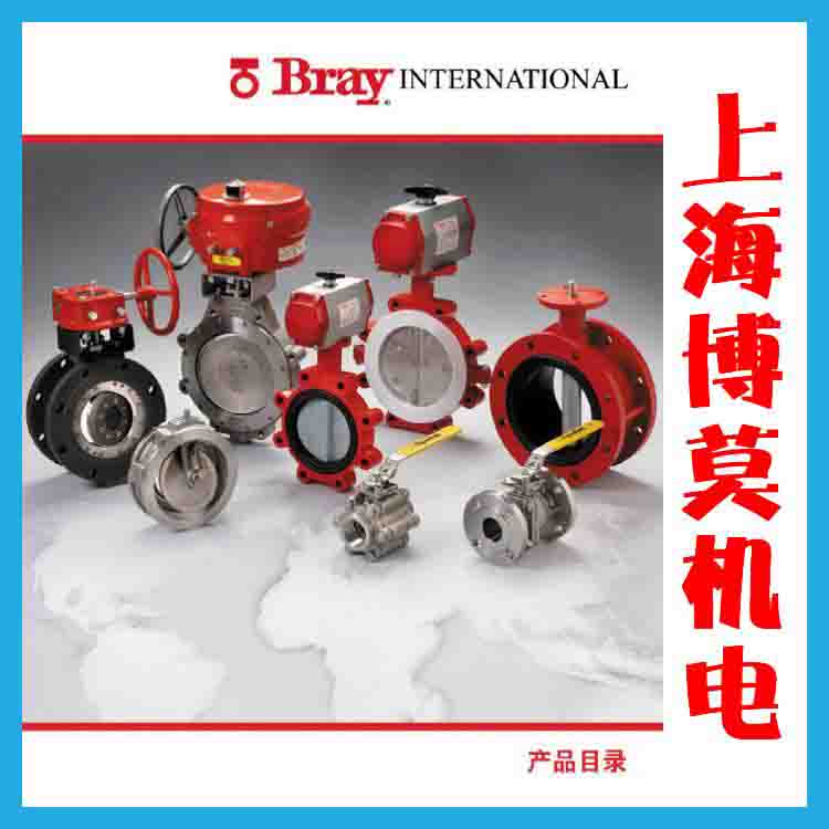 ���ף�Bray���y�T